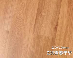 Z26�ഺ�껪